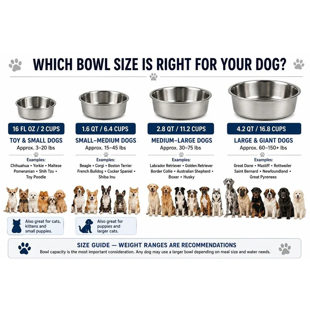 Frisco Stainless Steel Dog Cat Bowl 1.6 QT 6.4 Cup Small Medium NEW